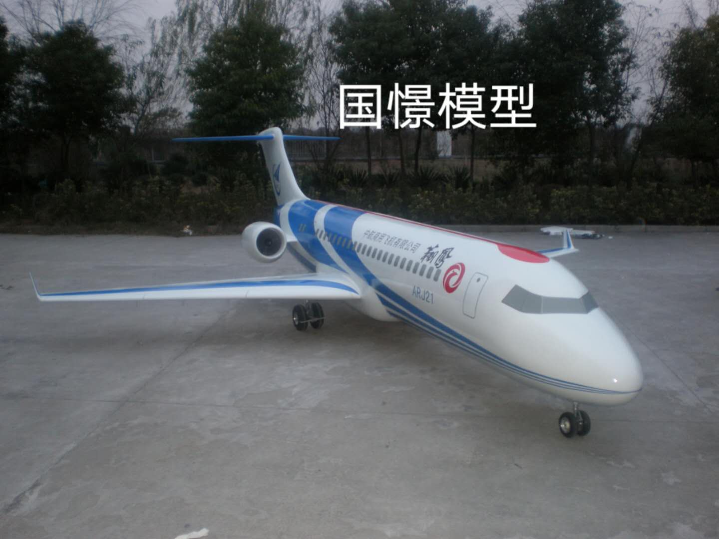 定洁县飞机模型